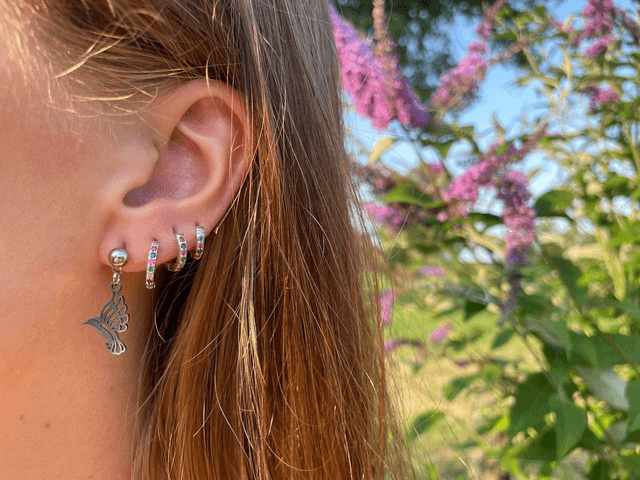 Boucles Phacélie